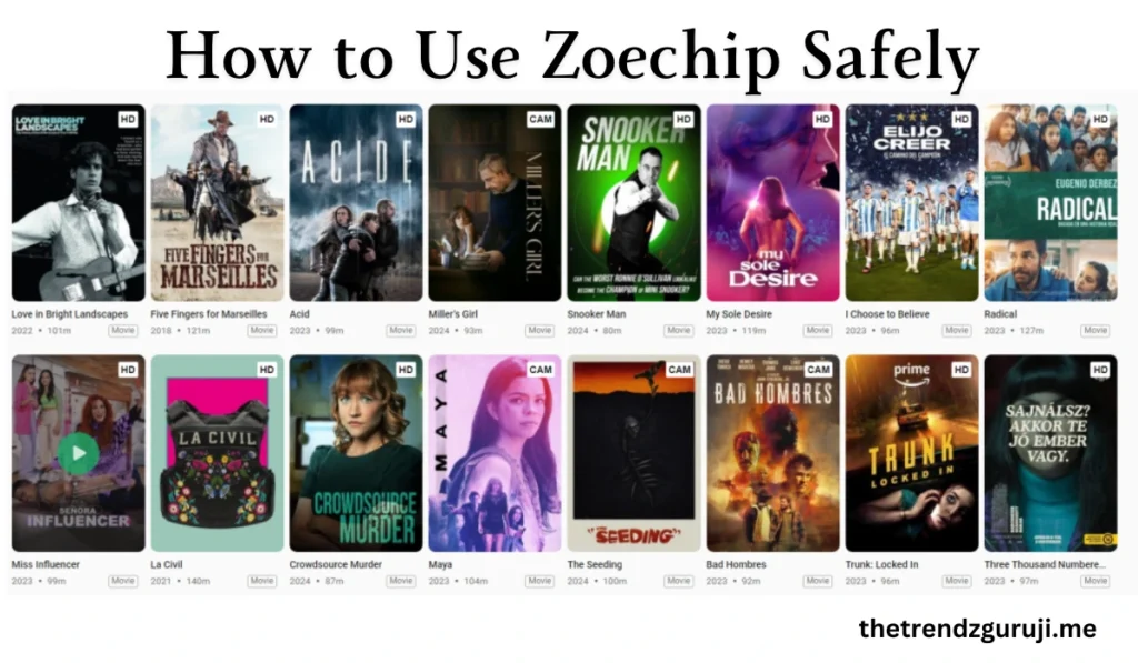 Zoechip